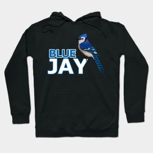 jz.birds Blue Jay Bird Watching Birder Design Hoodie